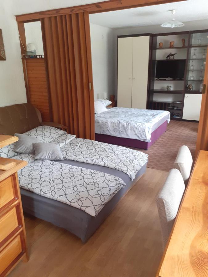 Sokol Apartment Ogulin Exterior photo